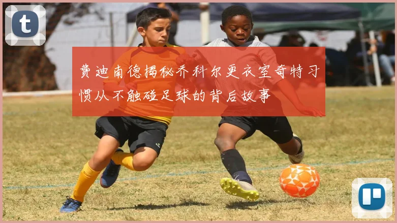 费迪南德揭秘乔科尔更衣室奇特习惯从不触碰足球的背后故事